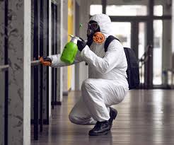 Best Black Mold Removal  in Jackson Center, OH