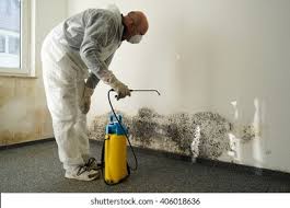 Jackson Center, OH Mold Removal & Remediation Company